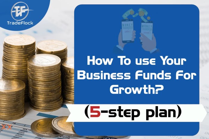 Growth business fund